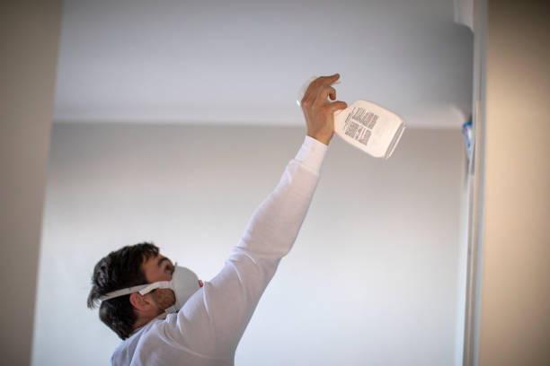 Best Best Mold Removal Companies  in New Albany, IN