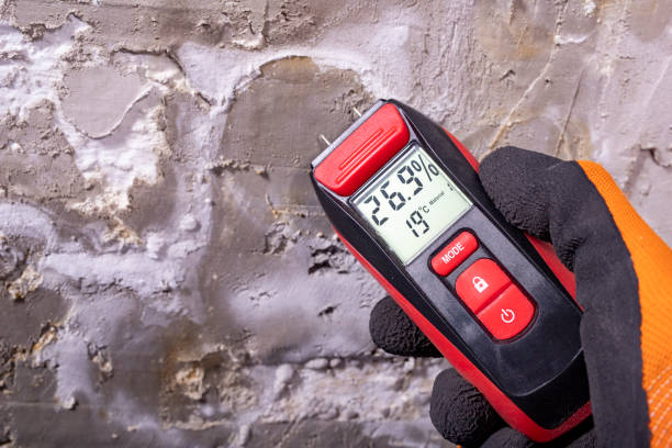 Best Commercial Mold Removal  in New Albany, IN