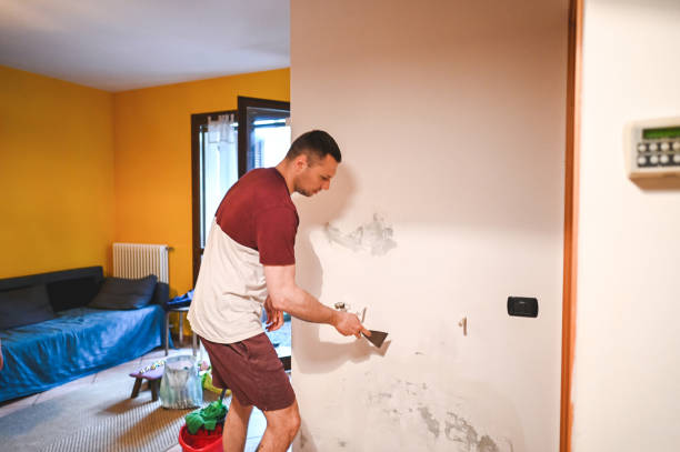 Best Certified Mold Removal  in New Albany, IN